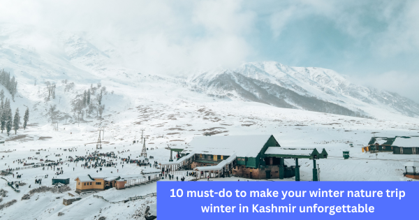 winter in kashmir