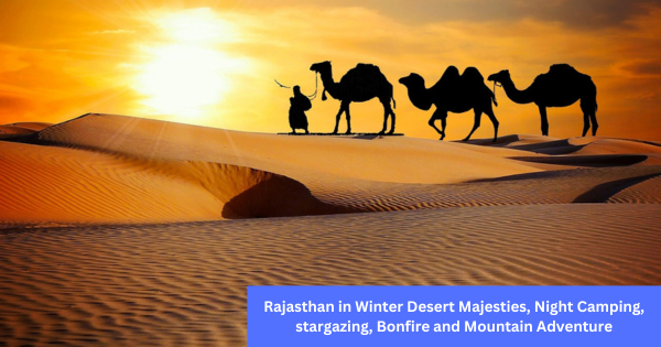 Rajasthan in Winter