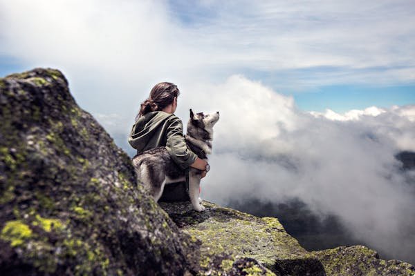 how to travel with dog in train in india