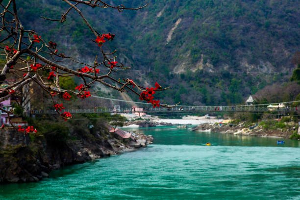 camping in rishikesh