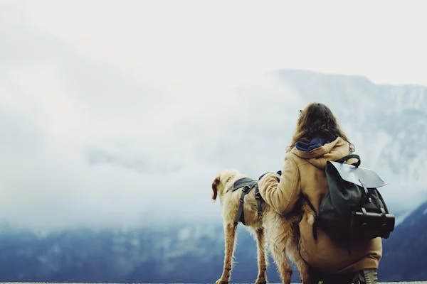 how to travel with dog in train in india